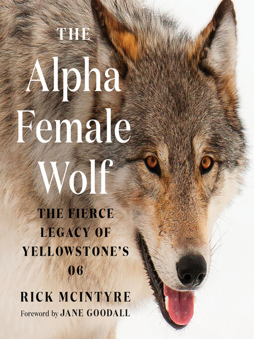 Title details for The Alpha Female Wolf by Rick McIntyre - Available